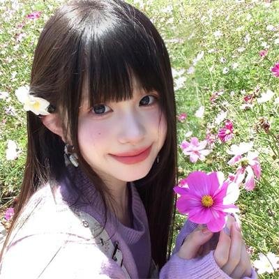 血芙蓉封面