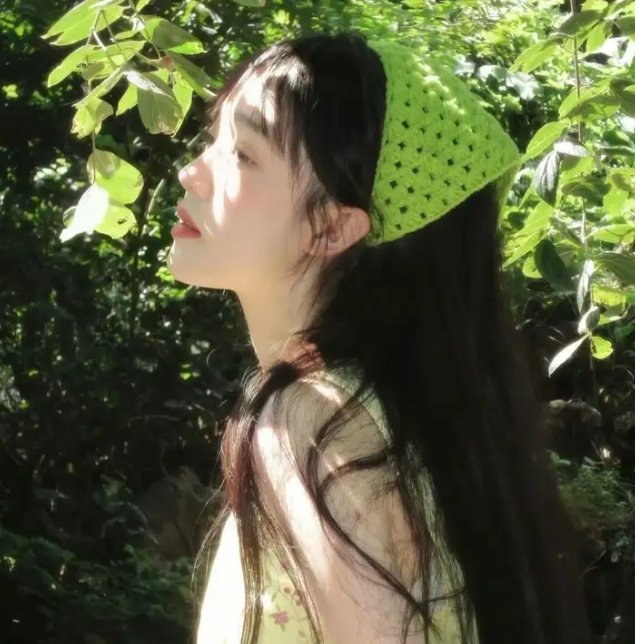 掌中雀封面